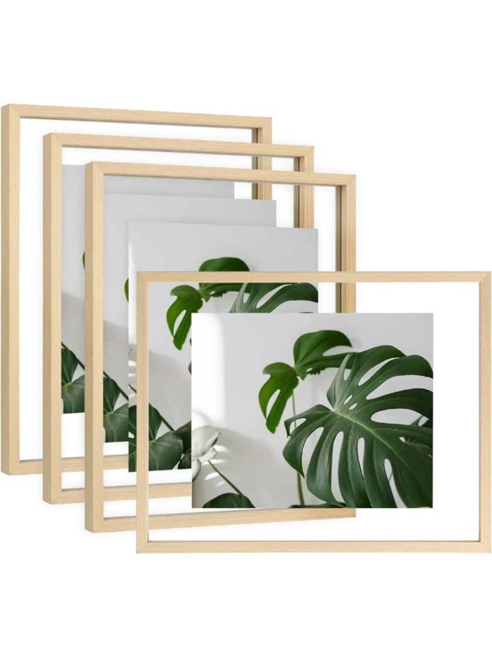 Set of 4 Floating Picture Frames, Double Plexiglass, Solid Wood, Wall